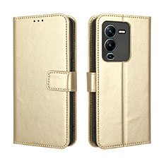 Funda de Cuero Cartera con Soporte Carcasa BY5 para Vivo V25 Pro 5G Oro