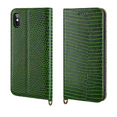 Funda de Cuero Cartera con Soporte Carcasa P03 para Apple iPhone X Verde