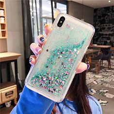 Funda Silicona Ultrafina Carcasa Transparente Flores T02 para Apple iPhone XR Verde