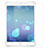 Protector de Pantalla Cristal Templado F01 para Apple iPad Mini 2 Claro