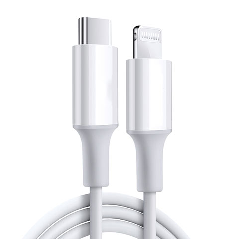 Cargador Cable USB Carga y Datos C02 para Apple iPad 10.2 (2020) Blanco