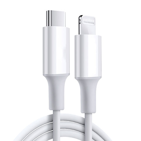 Cargador Cable USB Carga y Datos C02 para Apple iPad Pro 11 (2018) Blanco