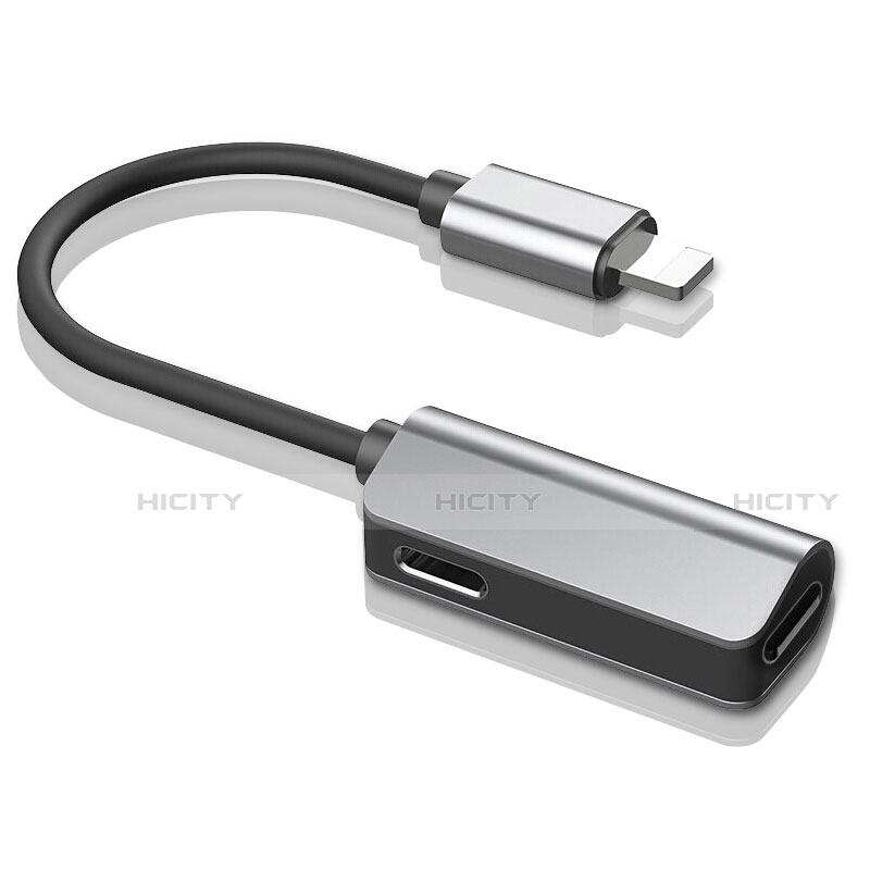 Cable Adaptador Lightning USB H01 para Apple iPad Air 4 10.9 (2020) Plata