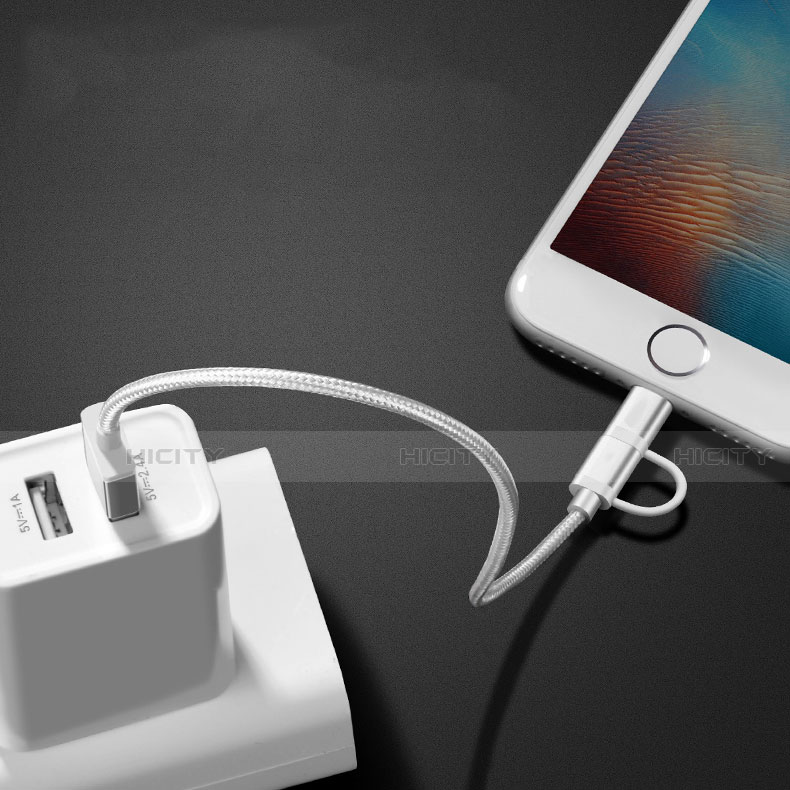Cargador Cable Lightning USB Carga y Datos Android Micro USB C01 para Apple iPad 10.2 (2020) Plata