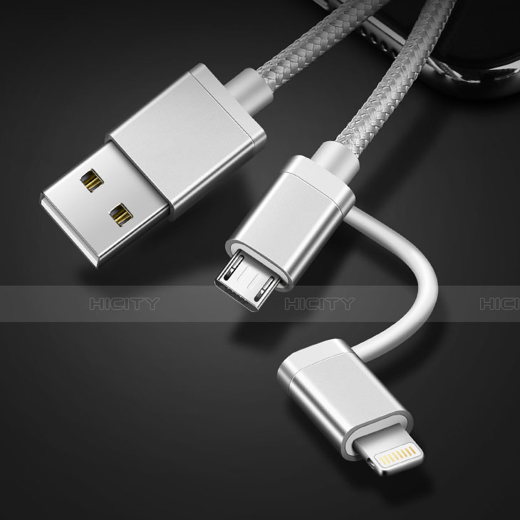 Cargador Cable Lightning USB Carga y Datos Android Micro USB C01 para Apple iPad 4 Plata