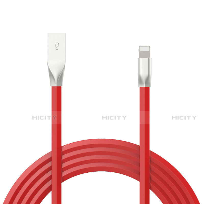 Cargador Cable USB Carga y Datos C05 para Apple iPad 4