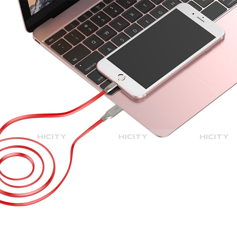 Cargador Cable USB Carga y Datos C05 para Apple iPad Pro 10.5