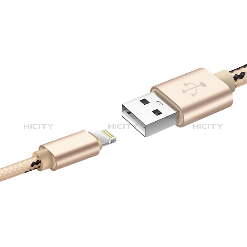 Cargador Cable USB Carga y Datos L10 para Apple New iPad 9.7 (2017) Oro