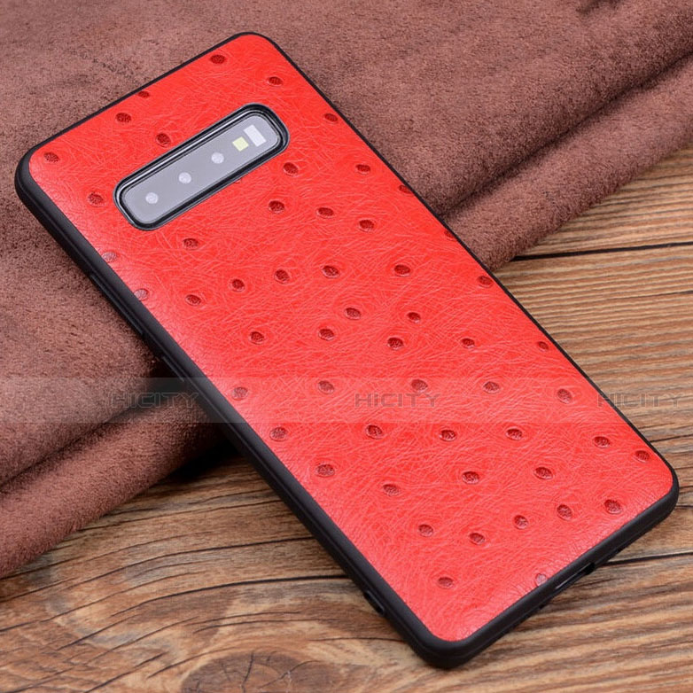 Funda Lujo Cuero Carcasa R05 para Samsung Galaxy S10